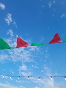 AGRO - BANDERINES -FOCOS PRENDIDOS DE DIA