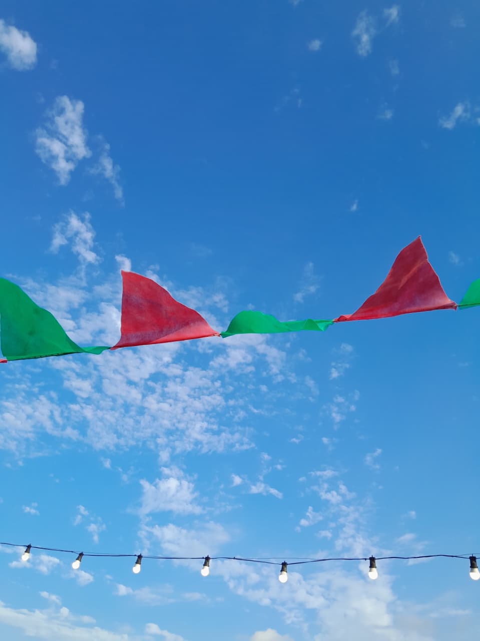 AGRO - BANDERINES -FOCOS PRENDIDOS DE DIA