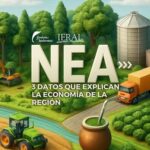 Vientos de cambio: el desafío de aprovechar en las regiones el auge de inversiones y exportaciones │ Gerardo Alonso Scwarz – IERAL NEA